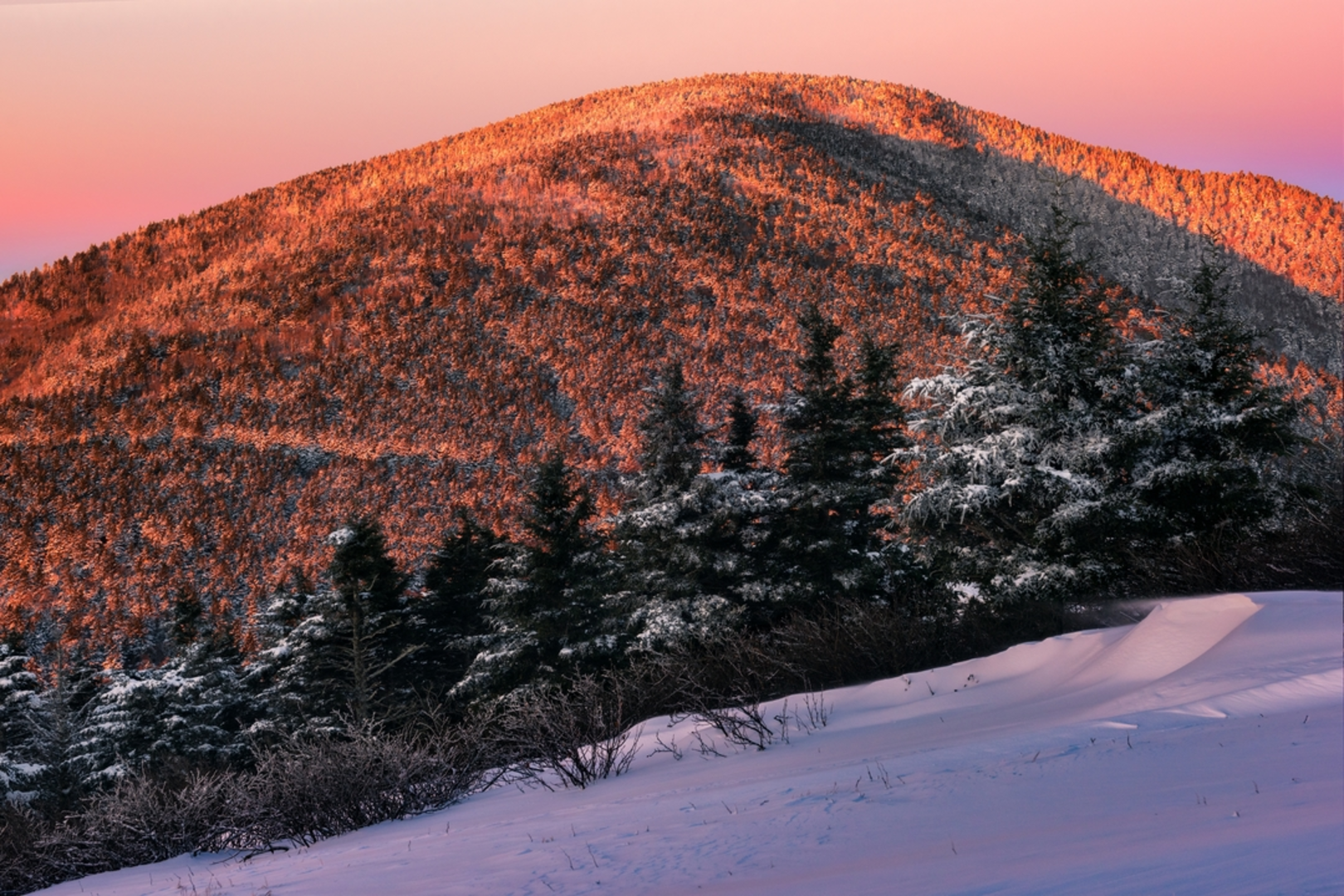 An image depicting the trail Grassy Ridge Bald via Appalachian Trail and its surrounding area.