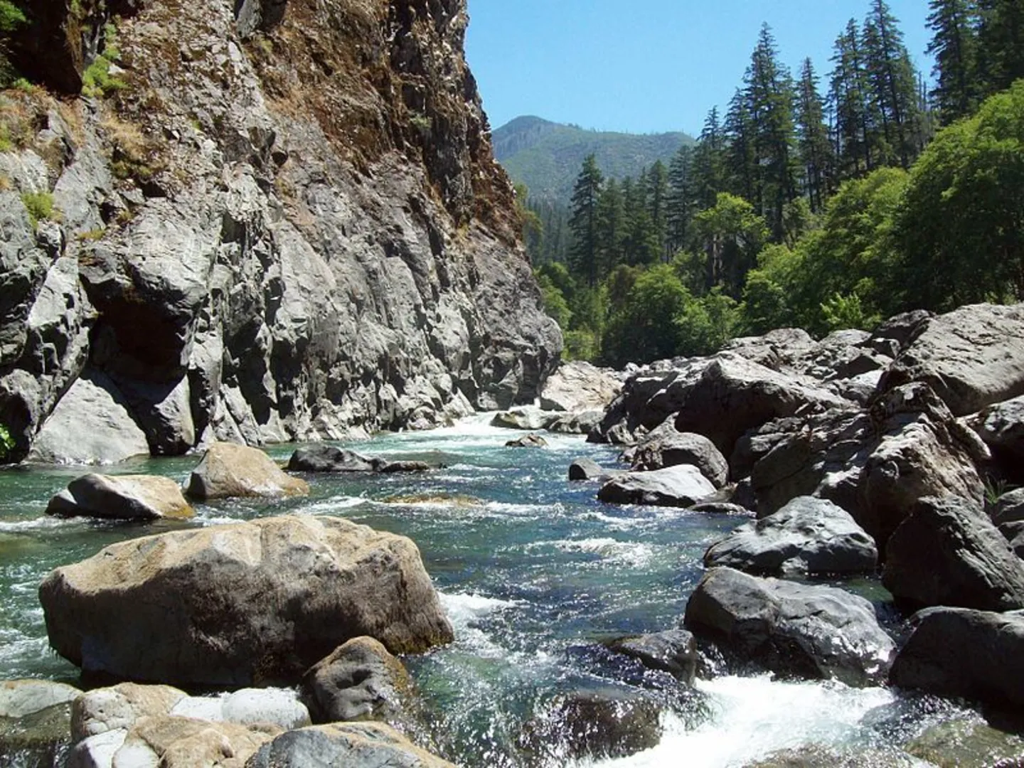 An image depicting the trail Pupp's Camp Way Trail and its surrounding area.