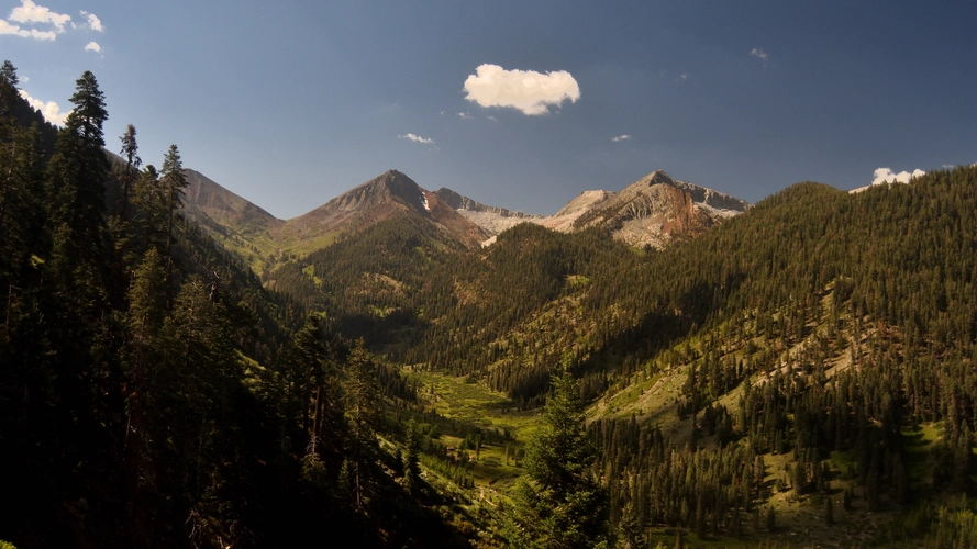 Timber Gap Creek