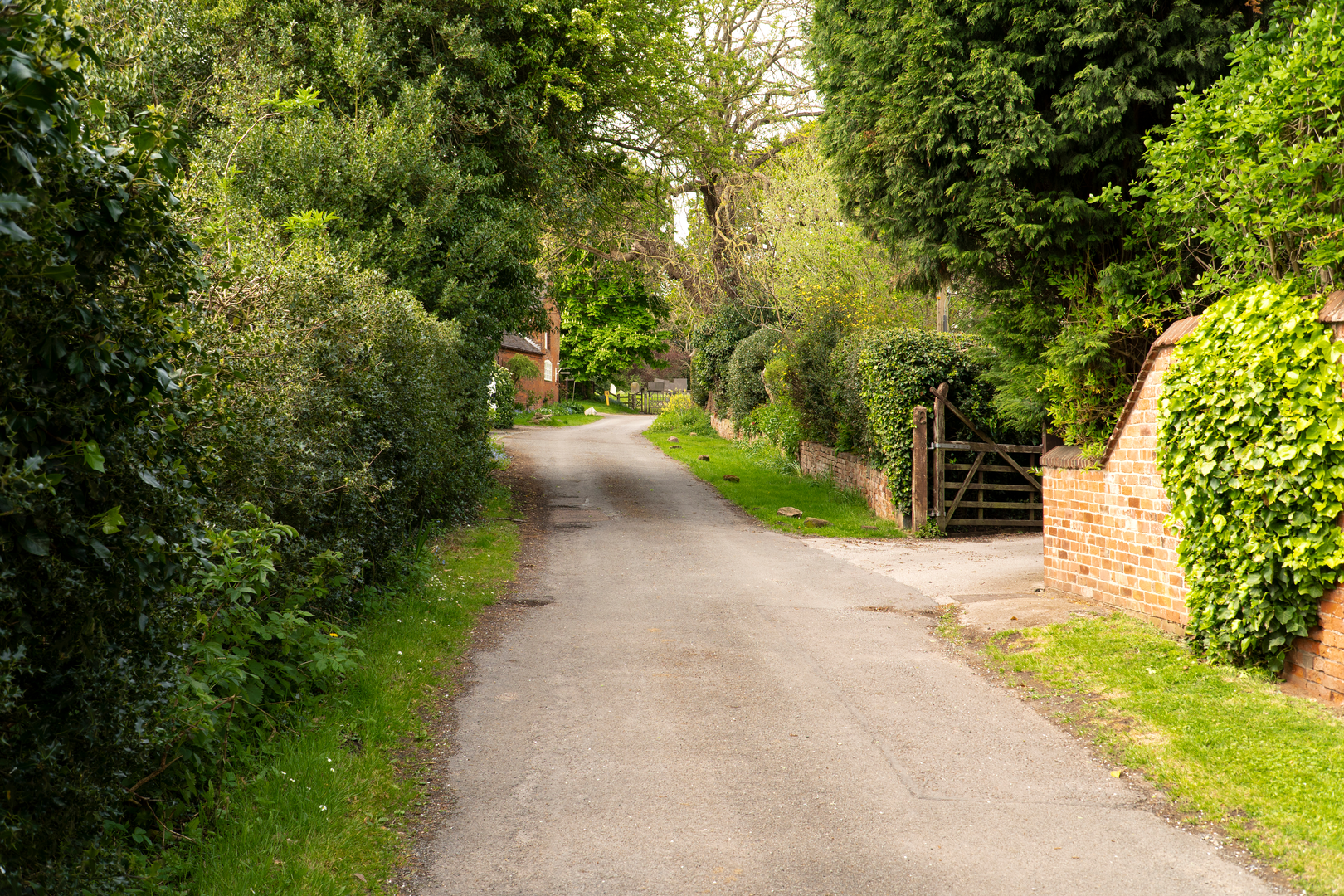 An image depicting the trail Minster Way and its surrounding area.