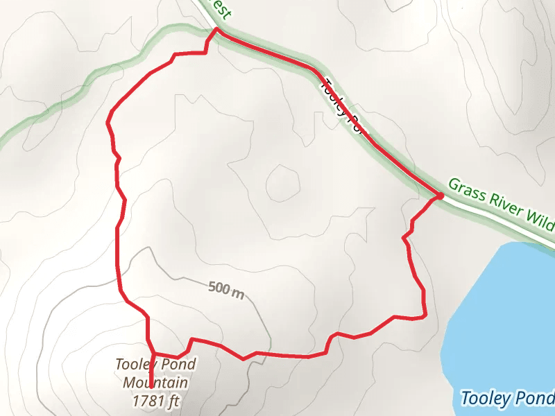 Tooley Pond Mountain Trail Loop