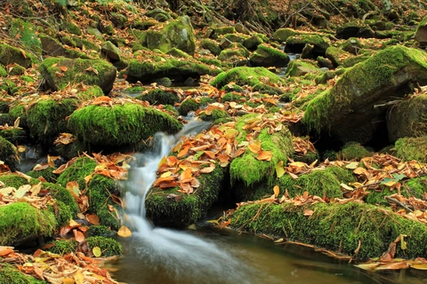 Dry Hollow Trail and Mid-State Trail Loop from Castle Rocks