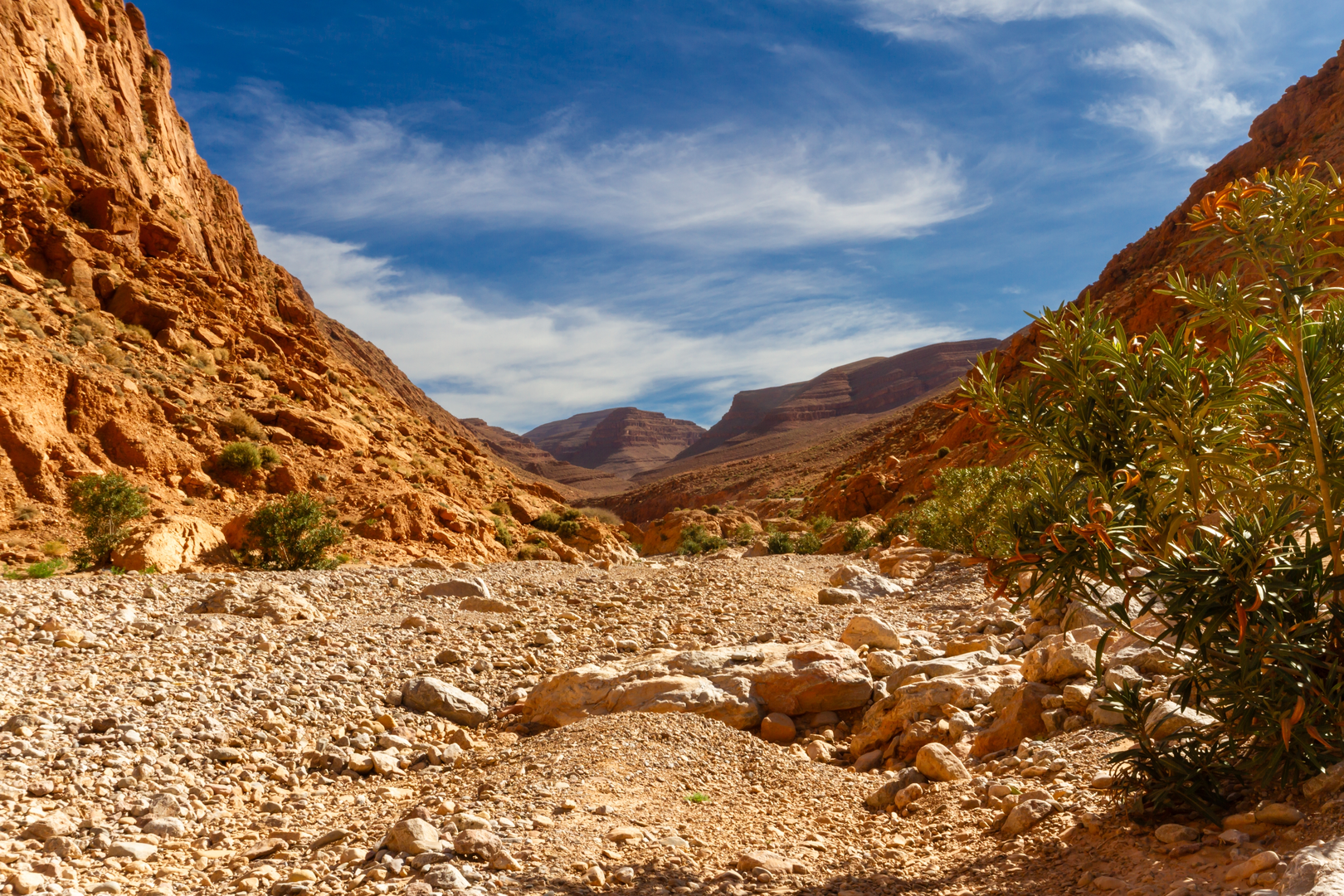 An image depicting the trail Todra Gorges Loop and its surrounding area.