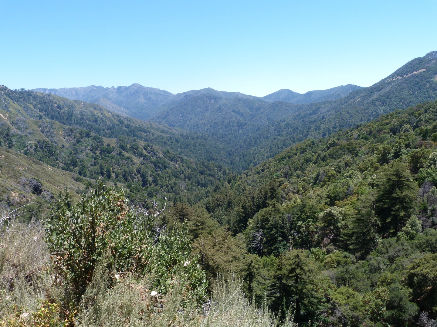 An image depicting the trail Miller Canyon Trail and its surrounding area.