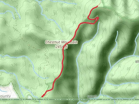 Chestnut Mountain - Hemp Top