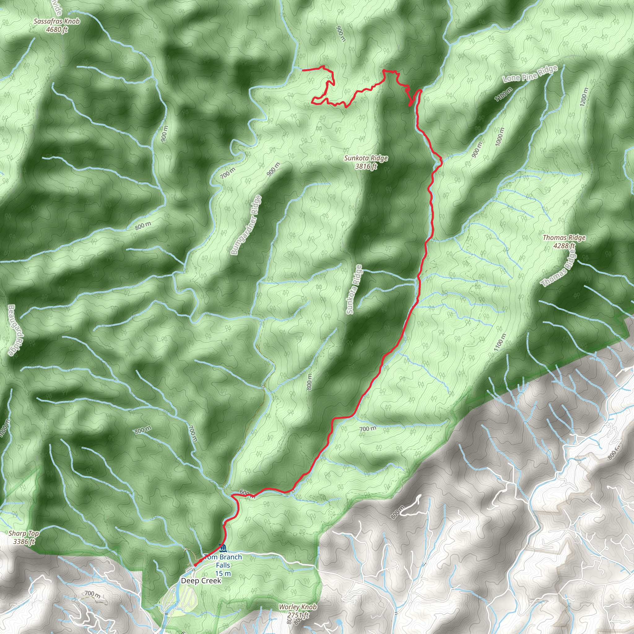 Indian Creek to Martin's Gap Trail mobile static map