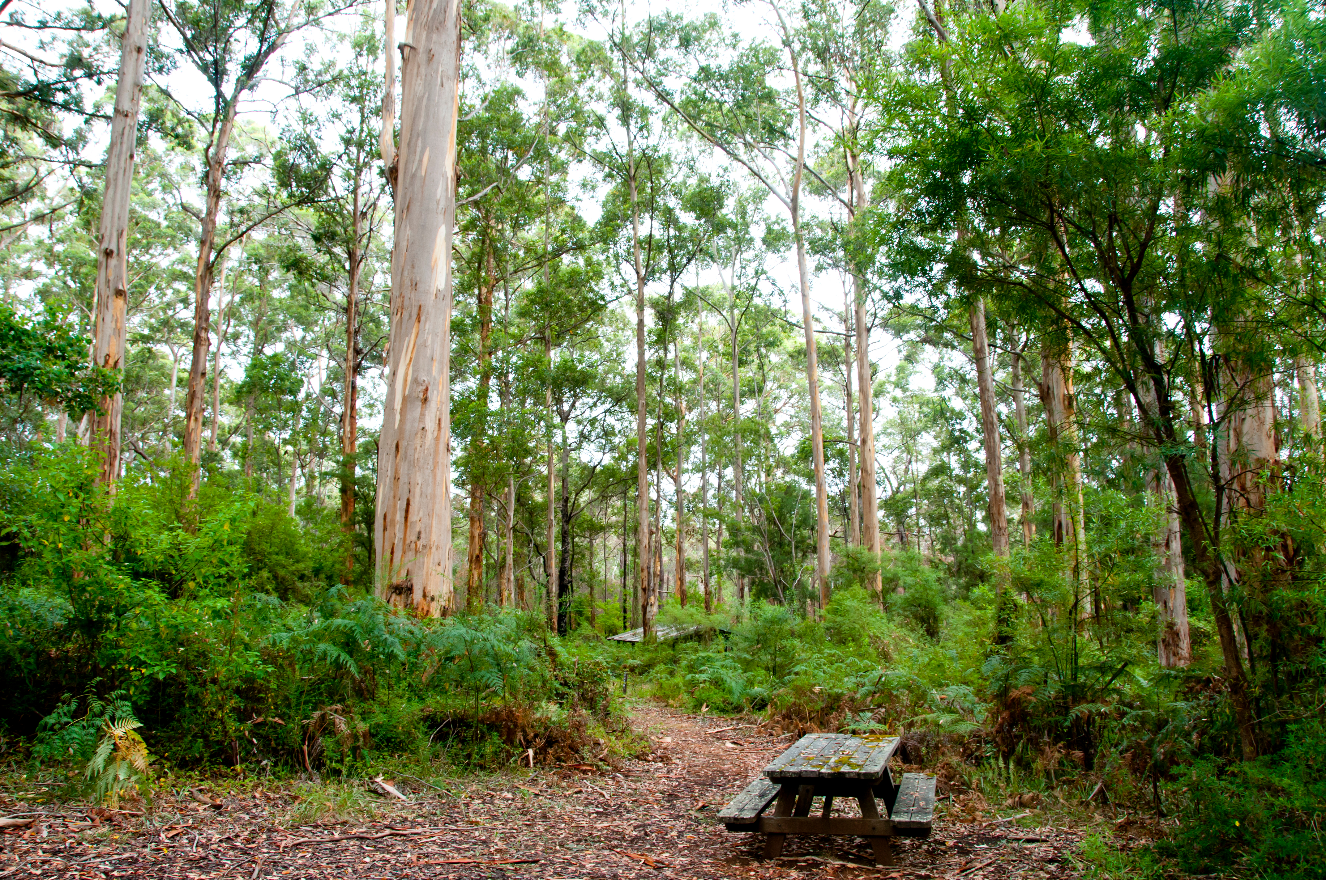 An image depicting the trail Gloucester National Park and its surrounding area.