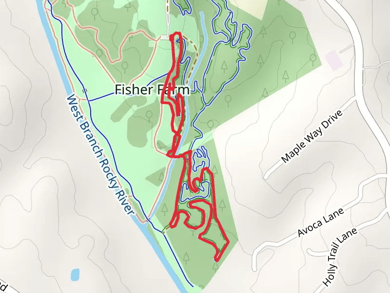 Main Loop
