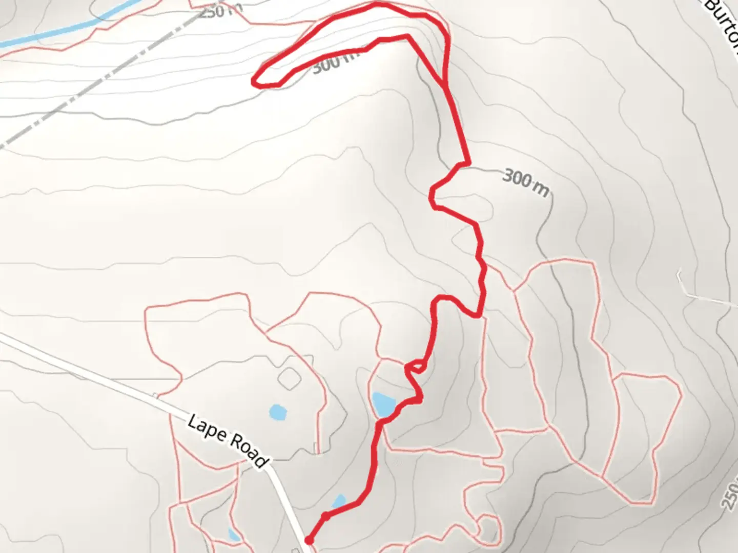 An image depicting the trail Lape Road Loop and its surrounding area.