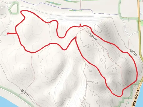 Alligator Hill Hiking and Intermediate Loop Trail