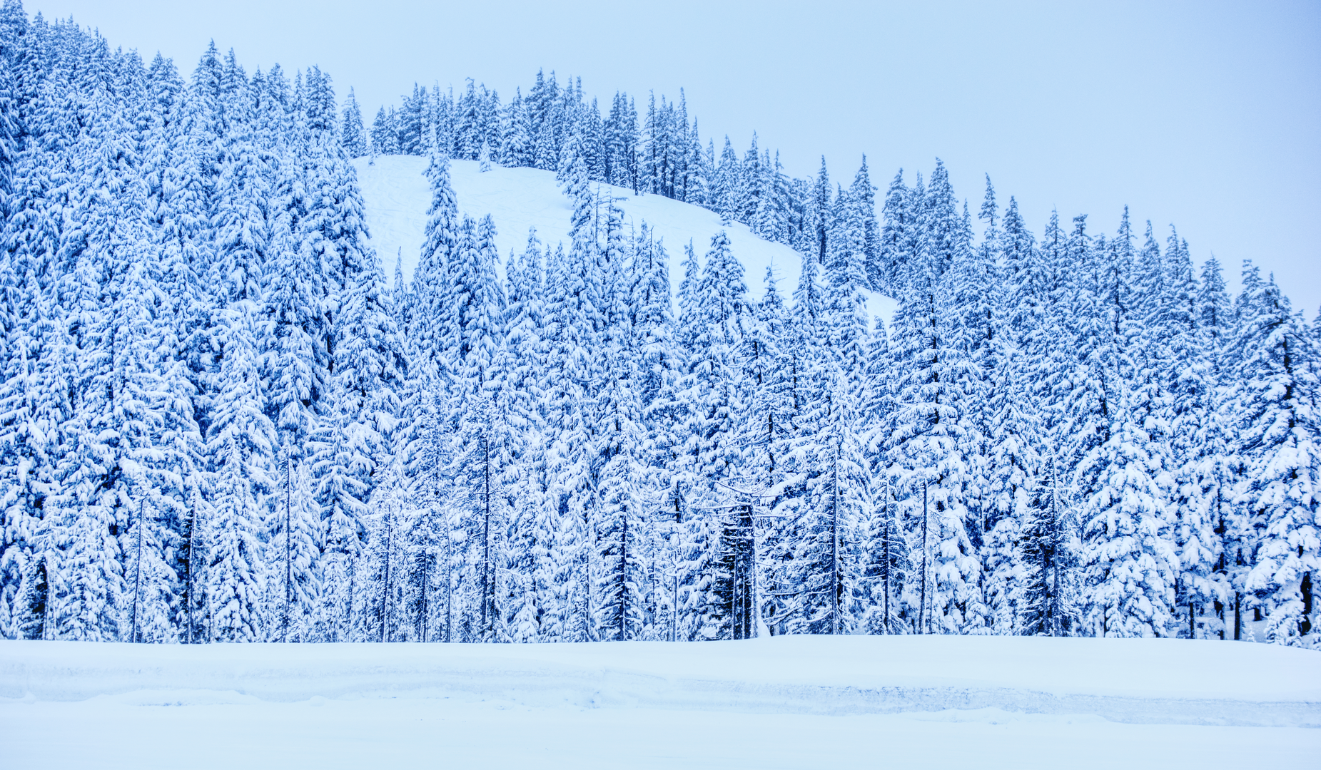 An image depicting the trail South Wallowas Traverse and its surrounding area.