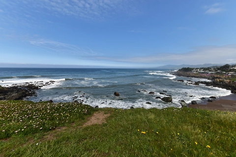 Bluff and SeaClift Loop Trail