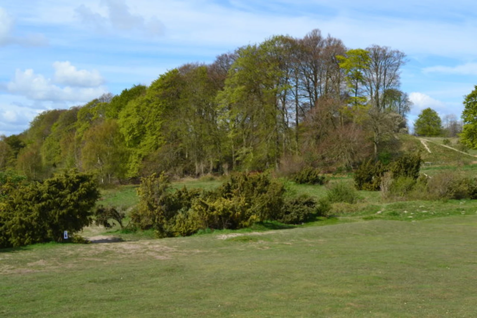 An image depicting the trail Danebury Hill Fort Loop and its surrounding area.