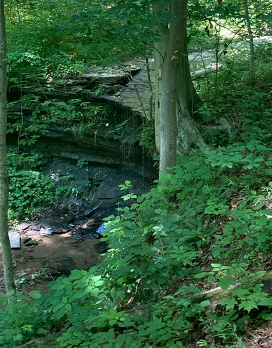 Mason Dixon Park