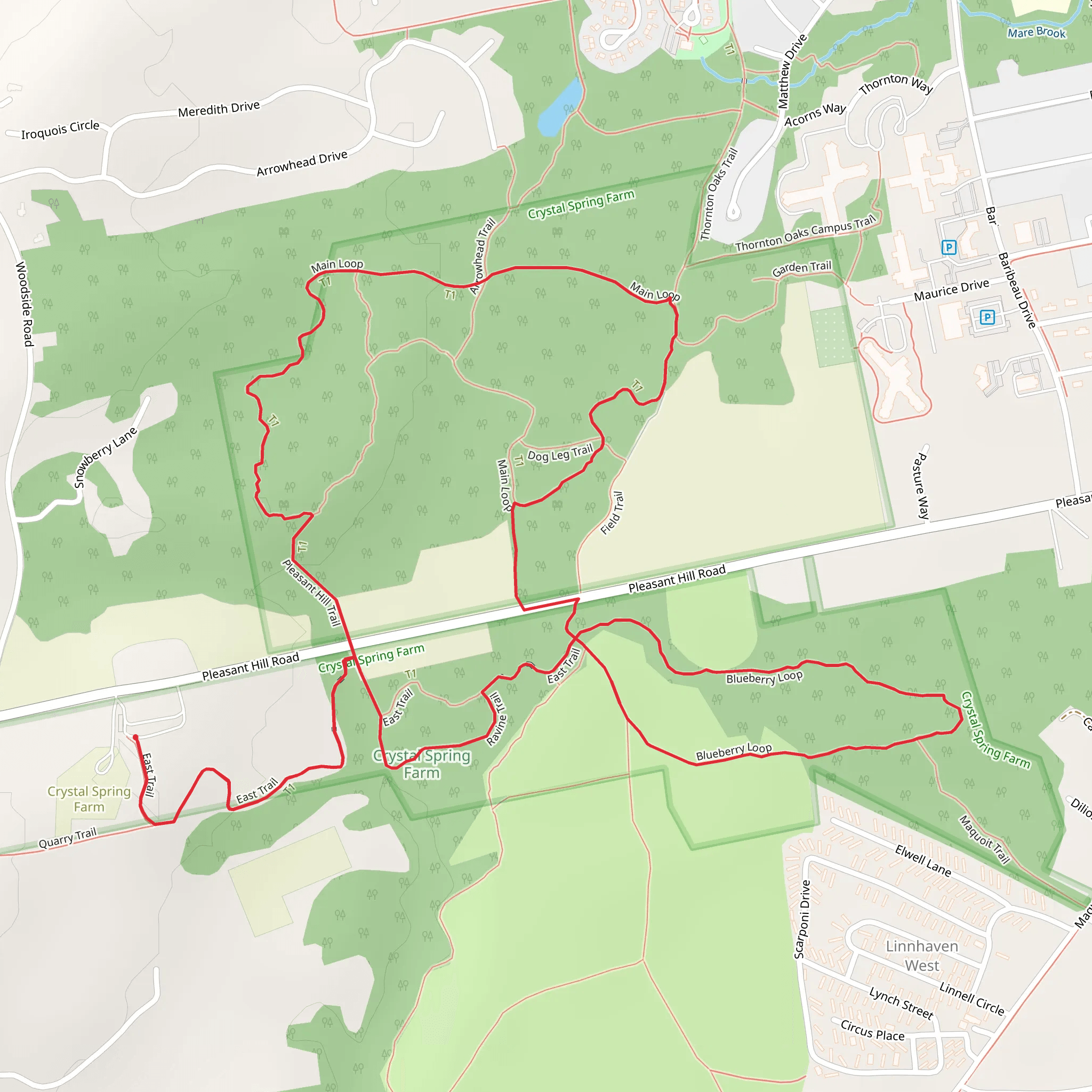 Blueberry Loop and Main Loop Trail mobile static map