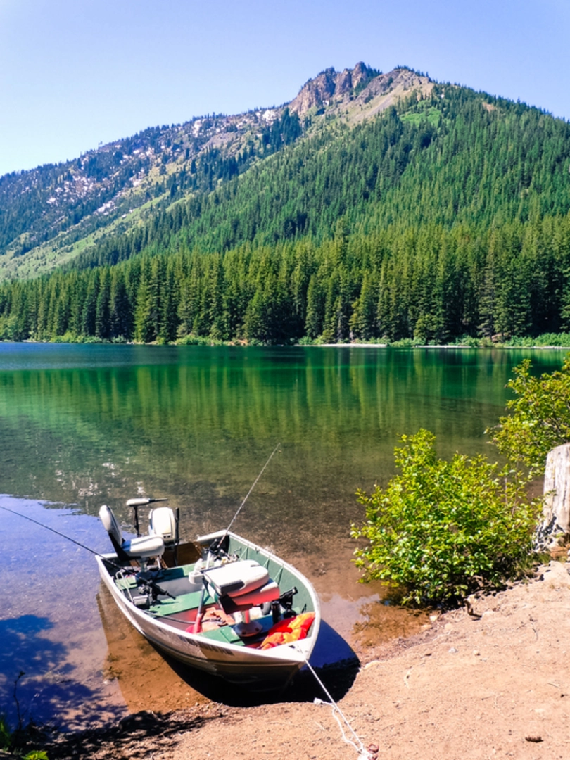 An image depicting the trail Walupt Lake Trail and its surrounding area.