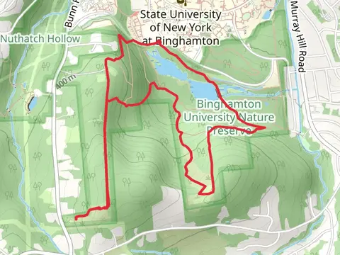 Harpur Pond Loop