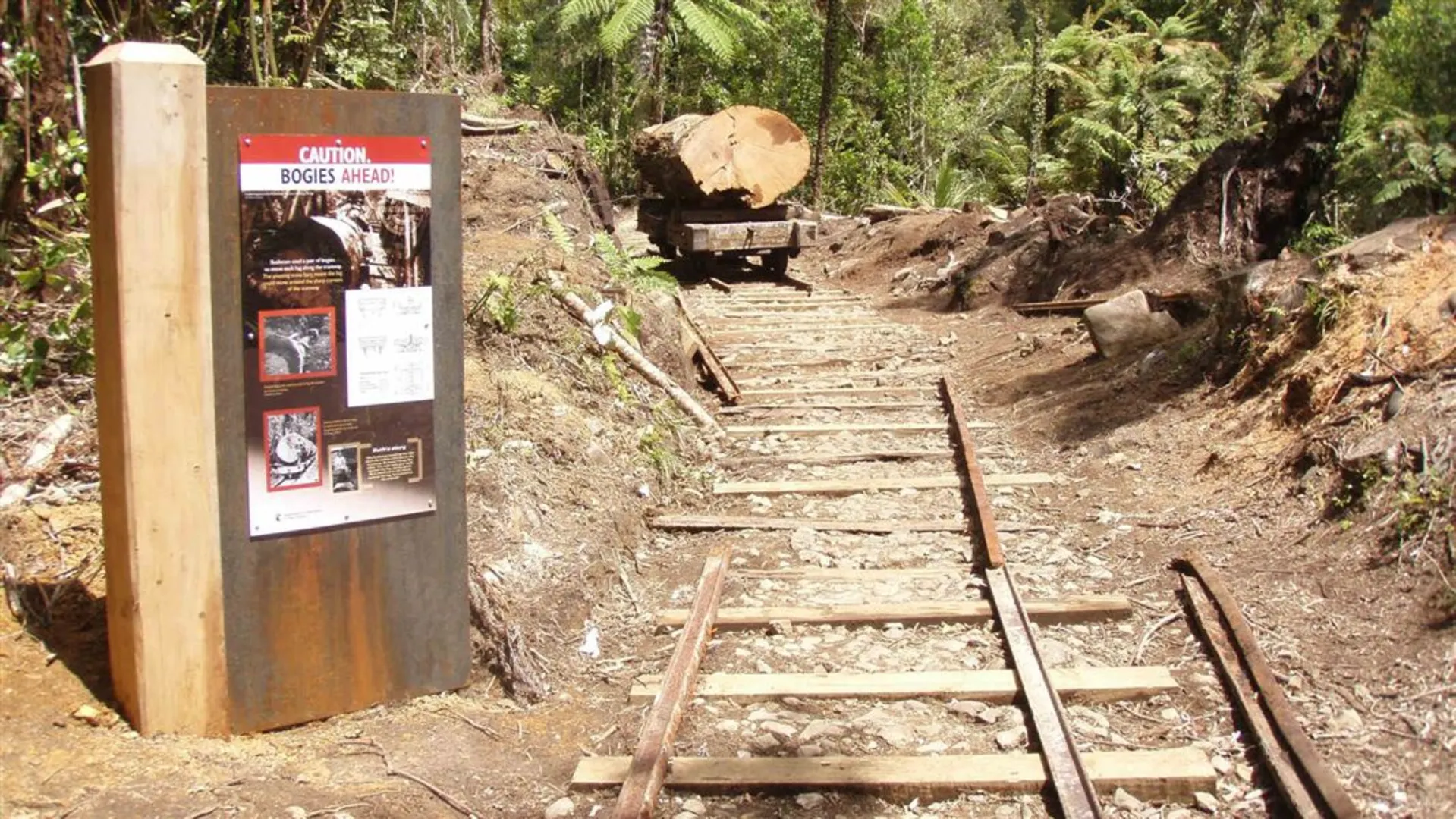 An image depicting the trail Waitawheta Tramway and its surrounding area.