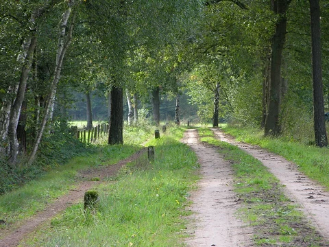 Wellingbach via Kommiezenpad