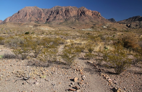 Ward Spring Trail