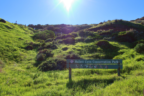 Glacial Hike - Hallett Cove Conservation Park