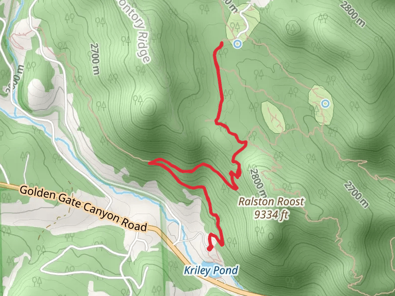 Mule Deer and Blue Grouse Trail