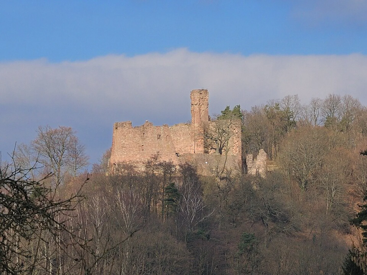 An image depicting the trail Hohenecken Castle and Schlossberg Loop and its surrounding area.