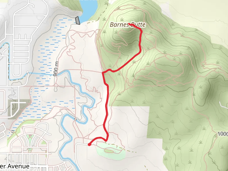 Barnes Butte