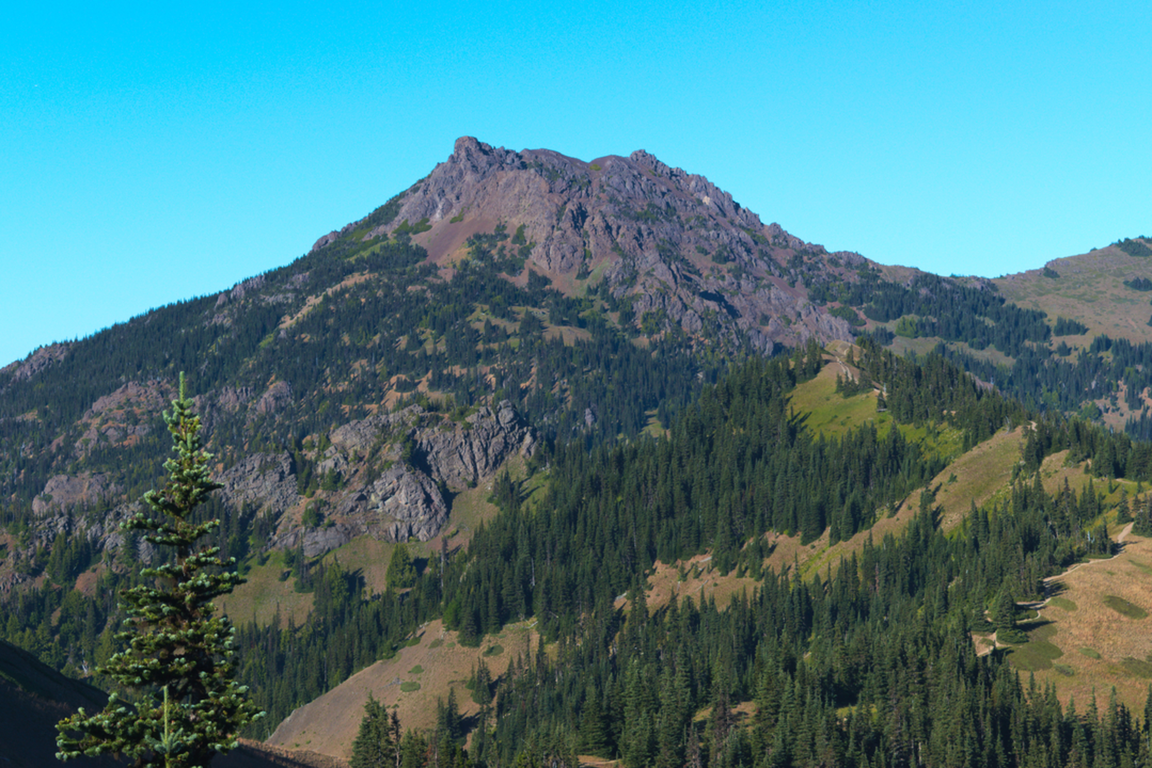 An image depicting the trail Switchback Trail and its surrounding area.