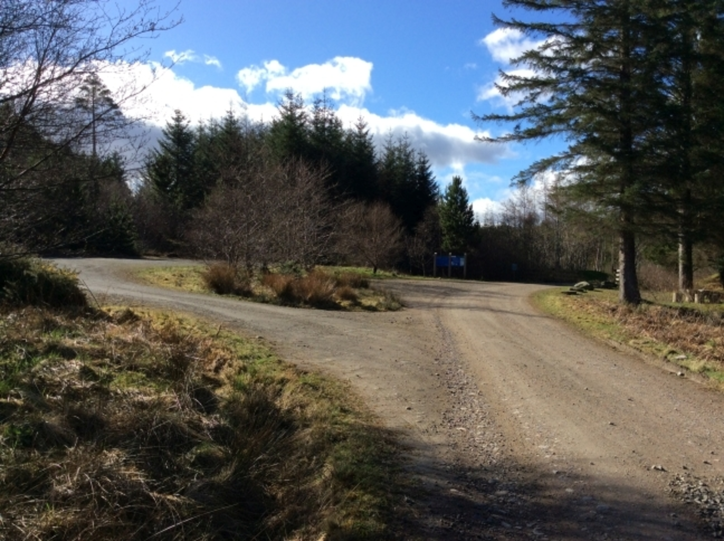 An image depicting the trail Lonesome Pine Trail from Lochan Arbhair and its surrounding area.