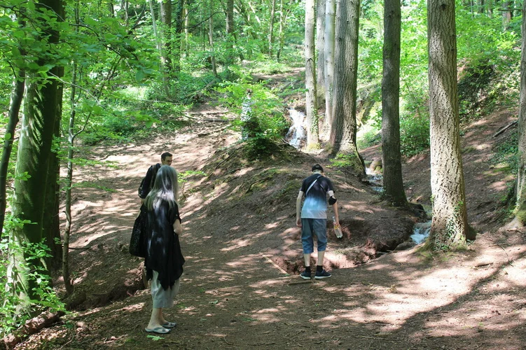 Fforest Fawr Loop