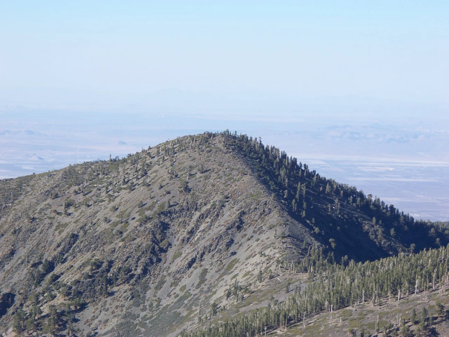An image depicting the trail Wright Mountain, Pine Mountain, Dawson Peak and Mount San Antonia and its surrounding area.
