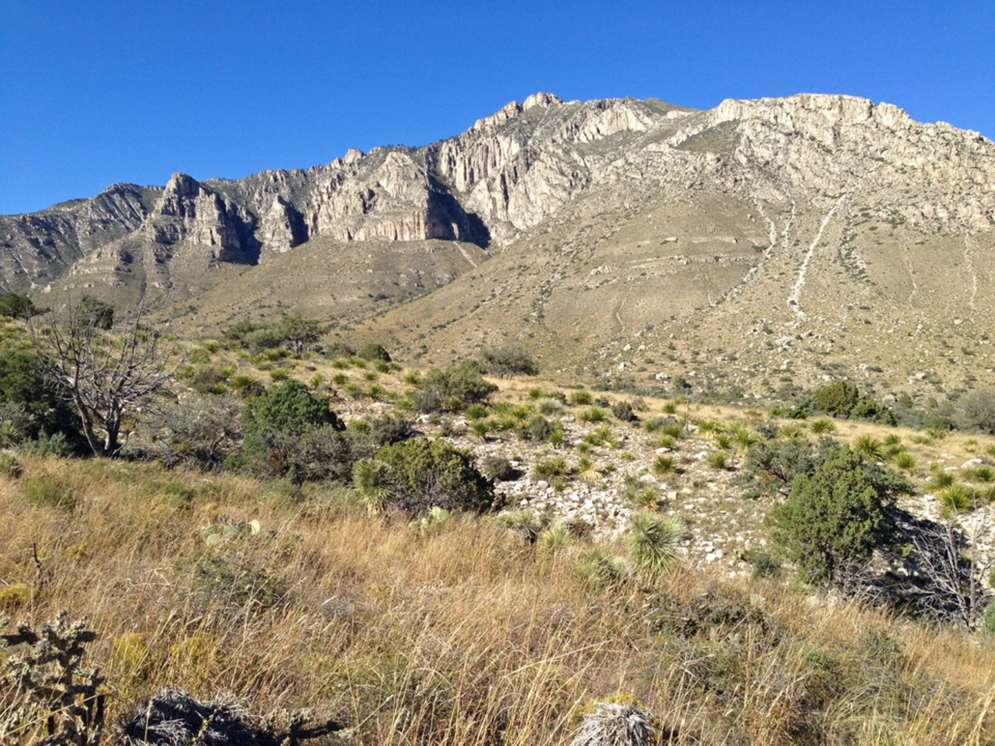 An image depicting the trail The Bowl and Hunter Peak via Frijole and Bear Canyon Trail and its surrounding area.