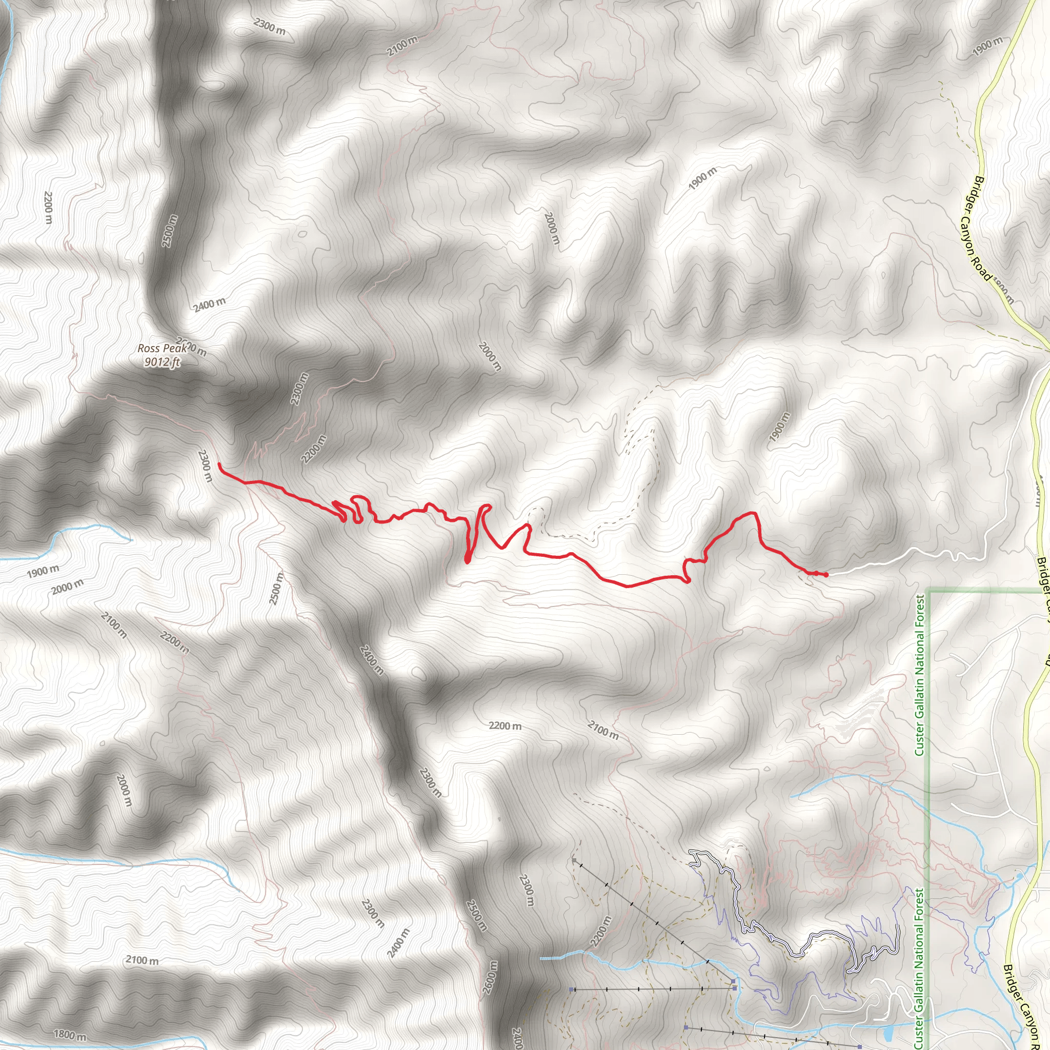Ross Saddle mobile static map