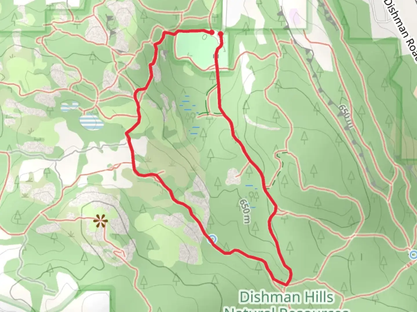 An image depicting the trail Pinecliff Trail and Camp Caro Loop and its surrounding area.
