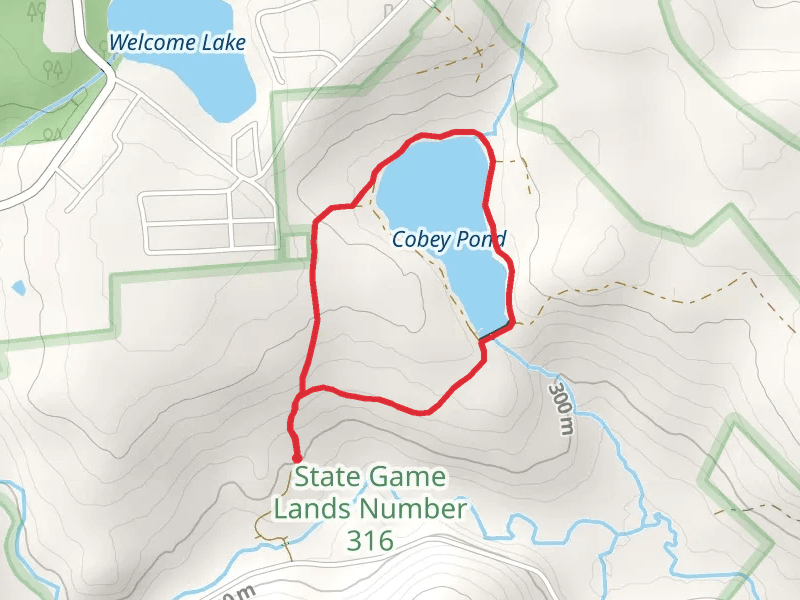 Cobey Pond Loop