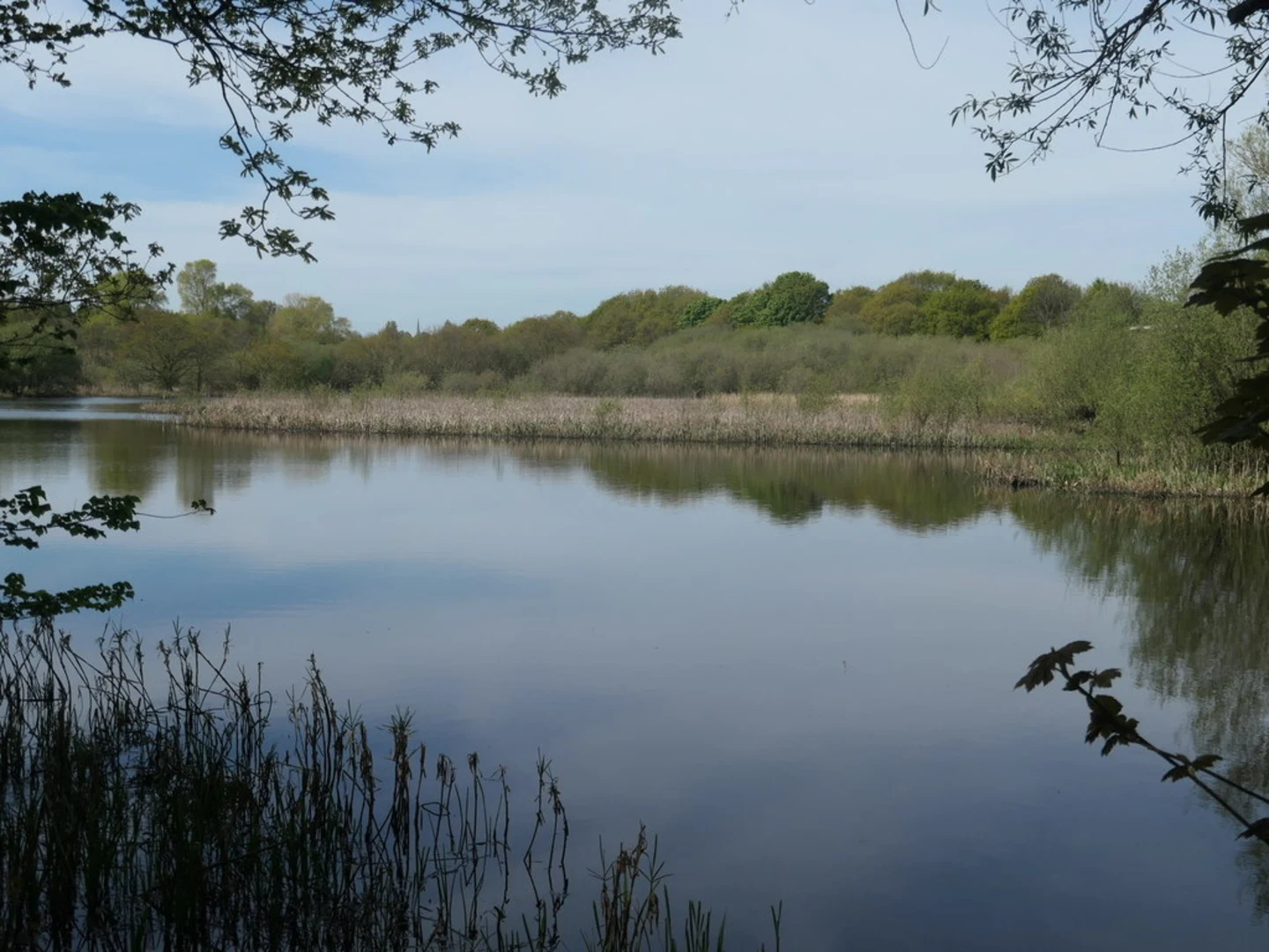 An image depicting the trail Half Moon Reservoir and Studley Lake and its surrounding area.