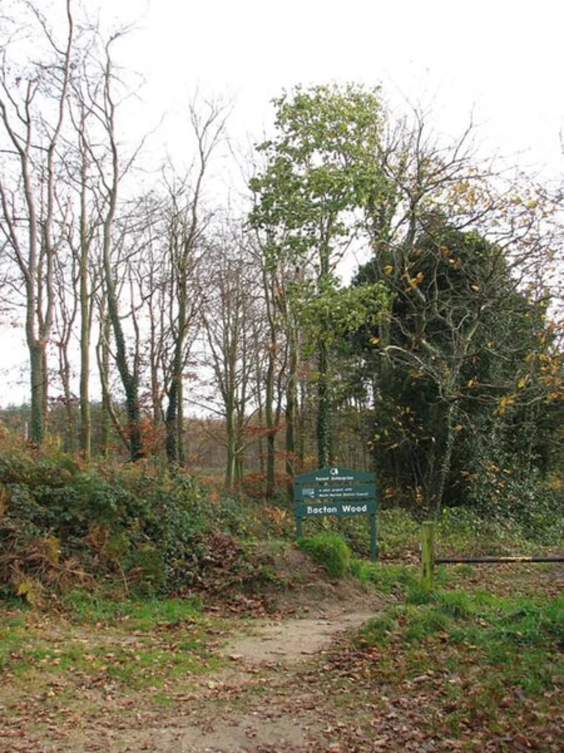 An image depicting the trail Bacton Wood Loop and its surrounding area.
