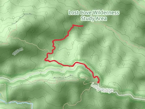 Little Lost Cove Creek Walk along
