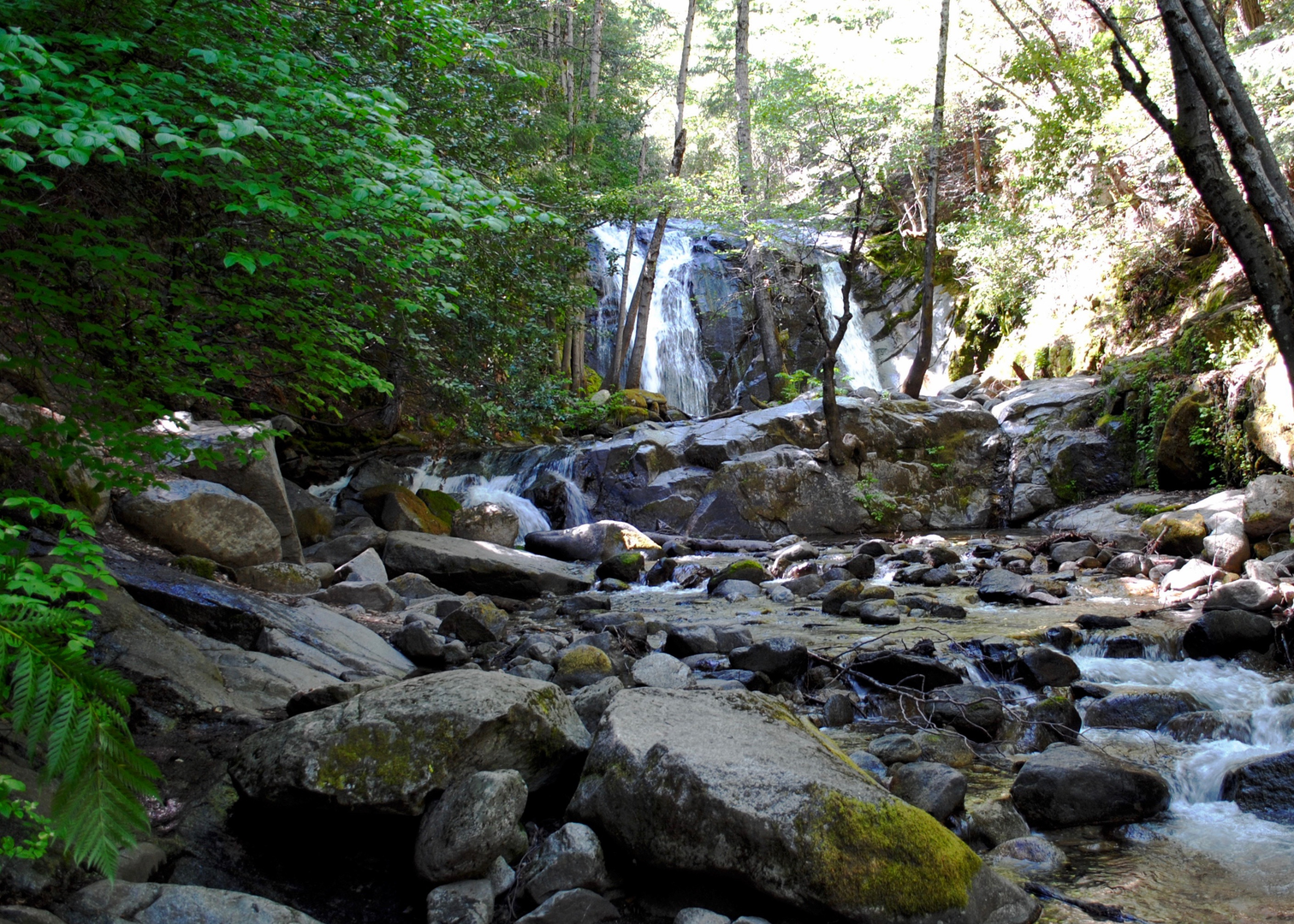 An image depicting the trail Whiskeytown-Shasta-Trinity Nra and its surrounding area.