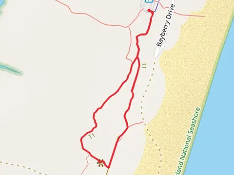 Life on the Dunes Loop Trail