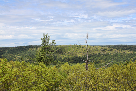 Cook Forest Tower via Indian Trail and Baker Trail