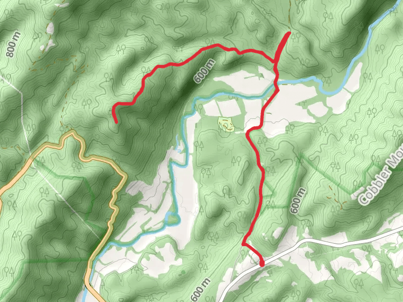 Neal Run Trail