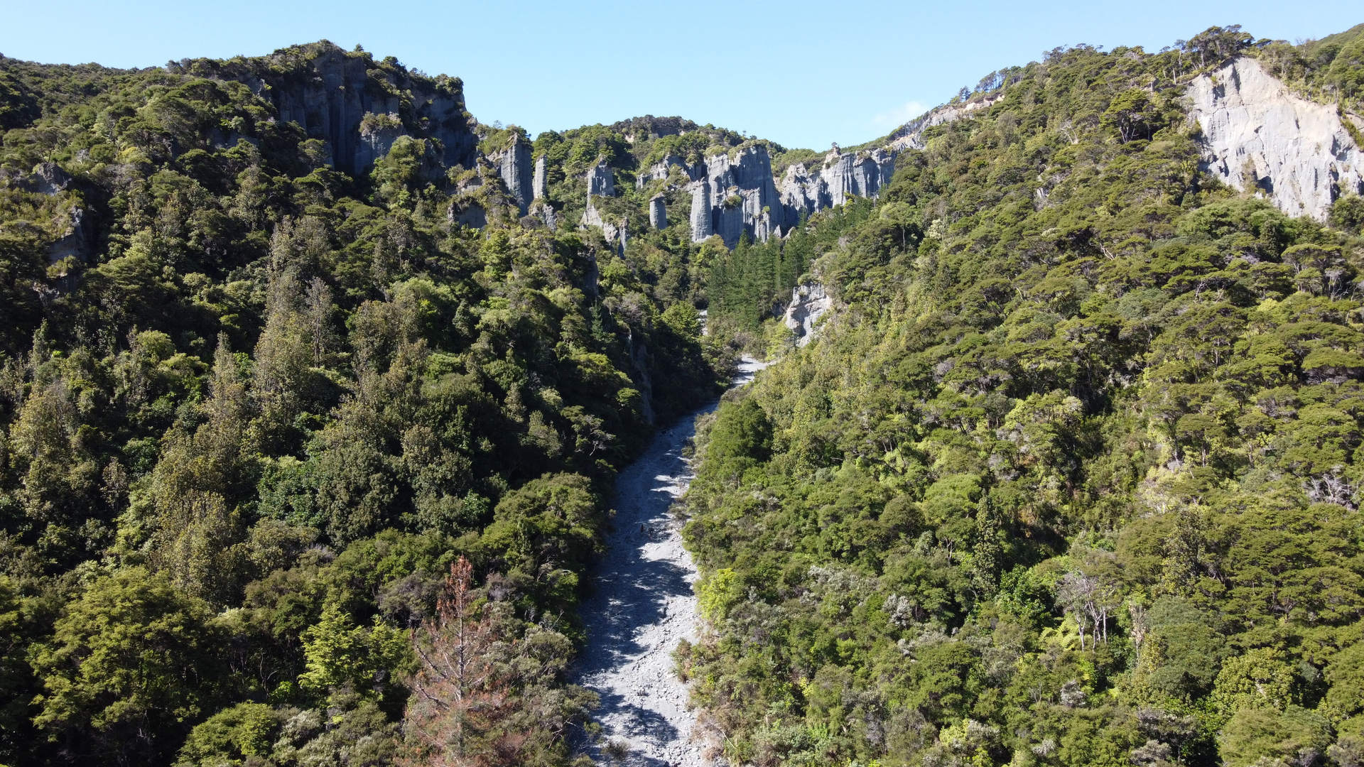 An image depicting the trail The Pinnacles Loop via Pinnacles Track and its surrounding area.
