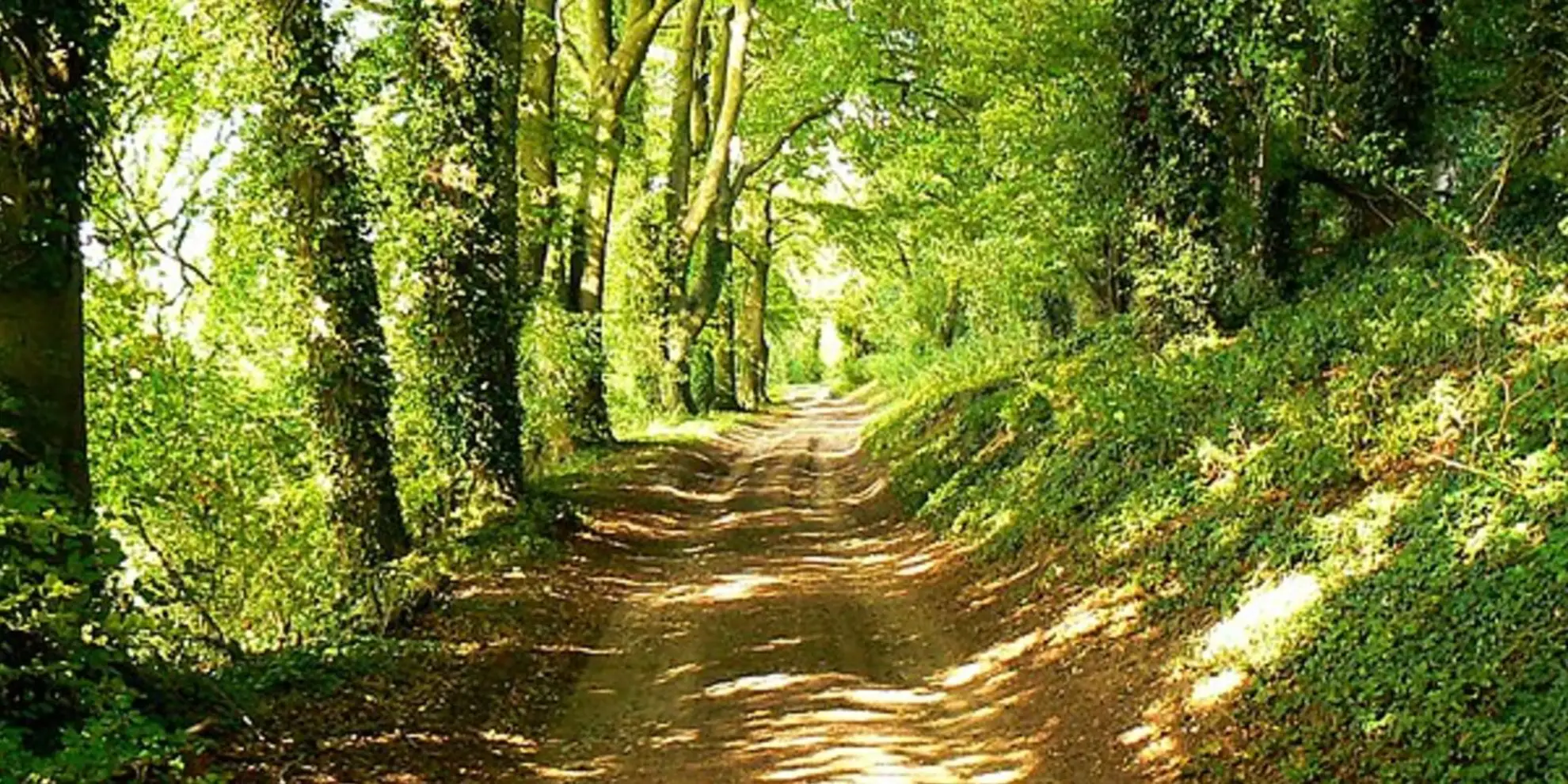 An image depicting the trail Chaddleworth from Great Shefford and its surrounding area.