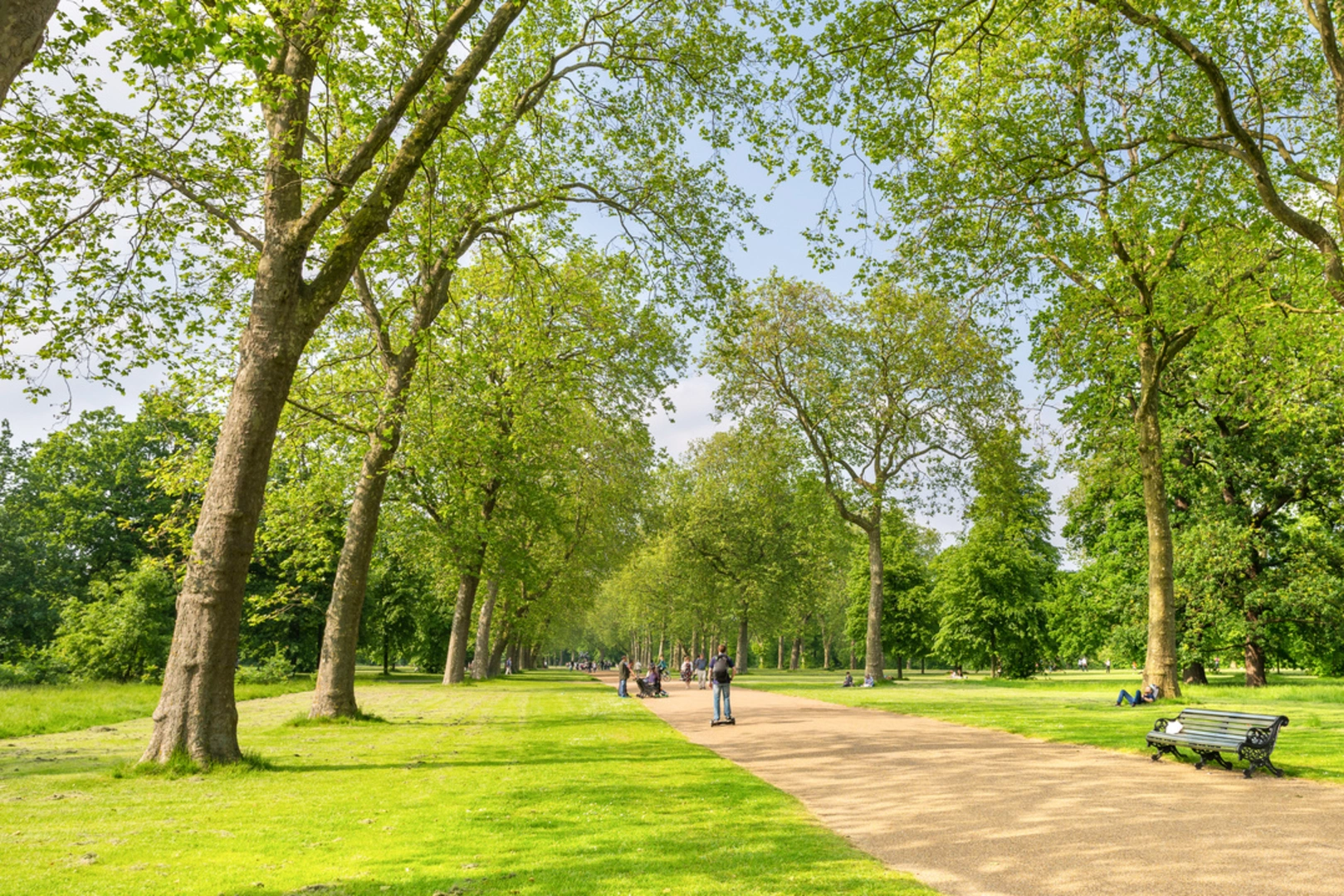 An image depicting the trail Gerald Colton Way and its surrounding area.