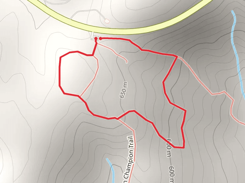 Burnt Mountain Champion Loop Trail