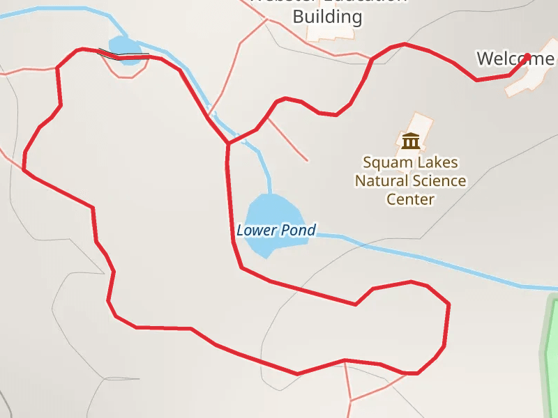 Holderness - Lower Pond Loop Trail