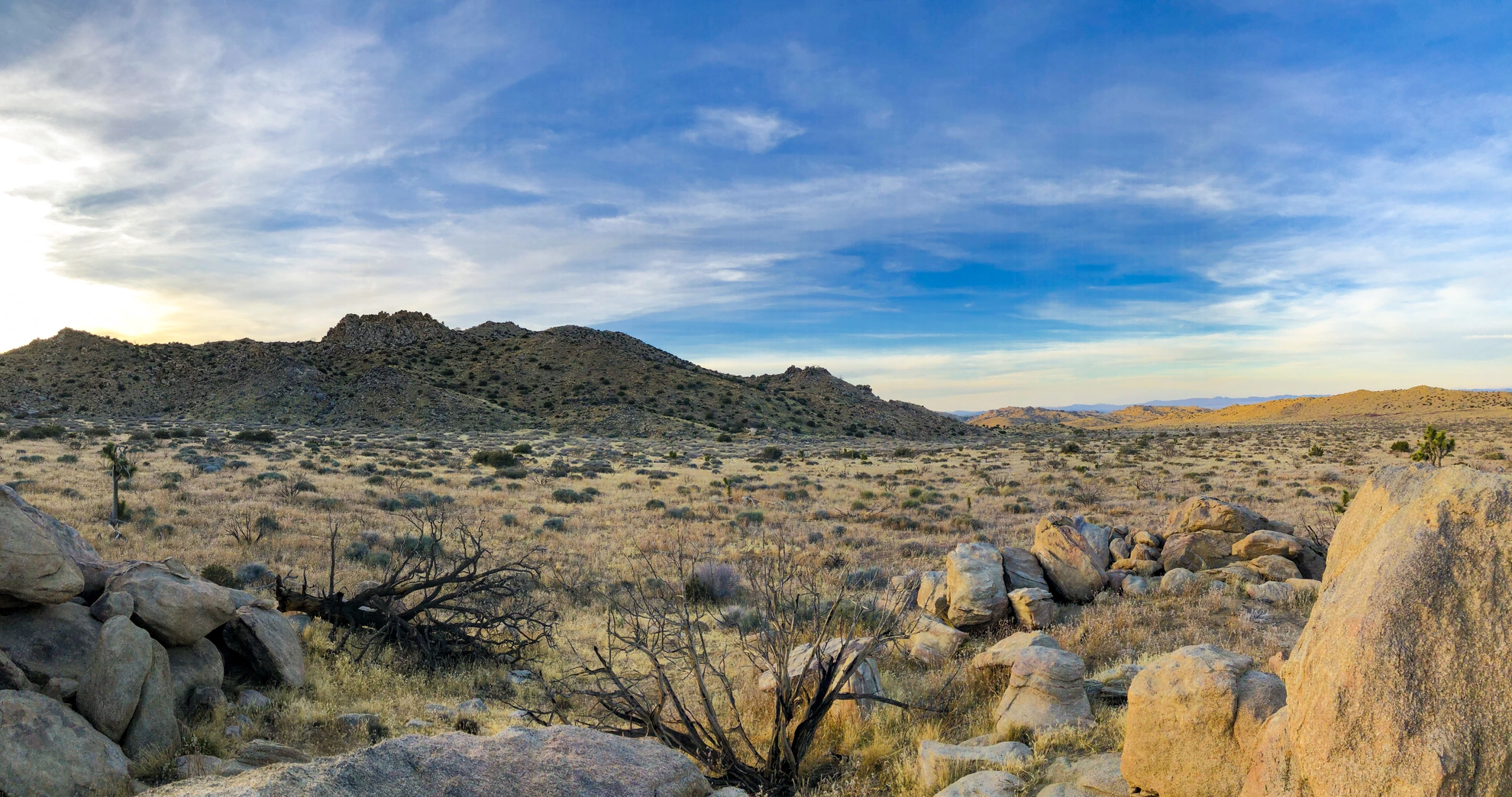 An image depicting the trail Covington Flat Road and its surrounding area.