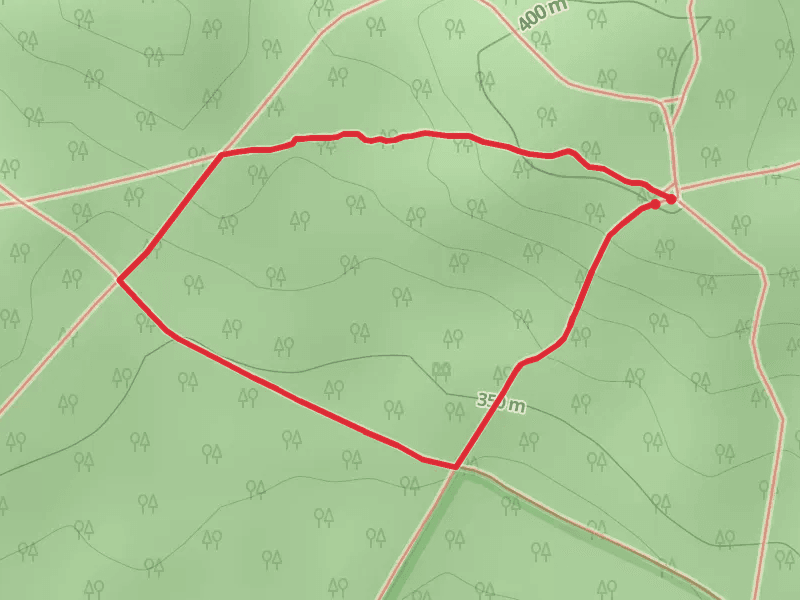 Lol Gray Loop